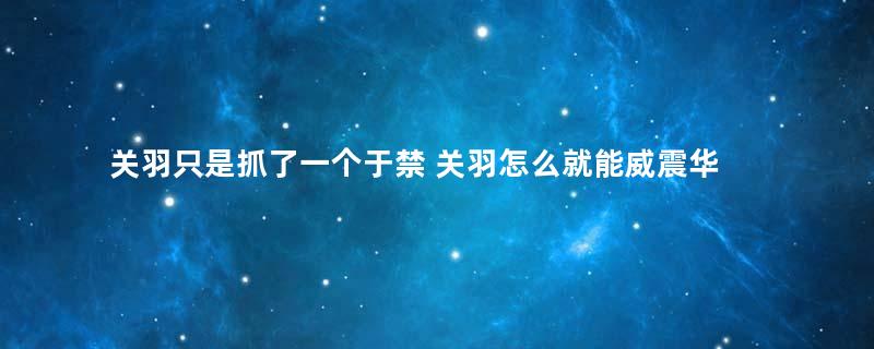 关羽只是抓了一个于禁 关羽怎么就能威震华夏了